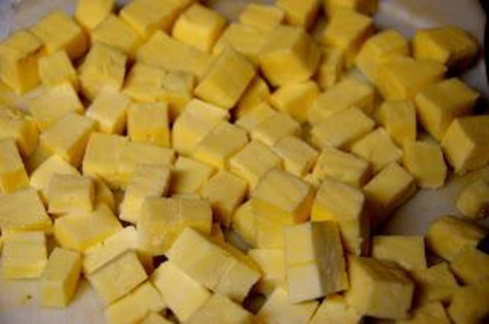 photo by Aparna Anurag