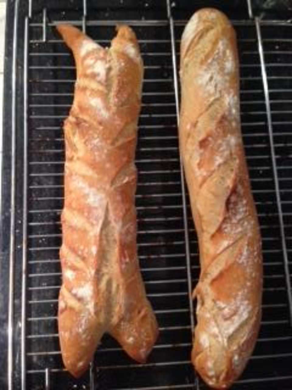 photo by Chef Rocky 007