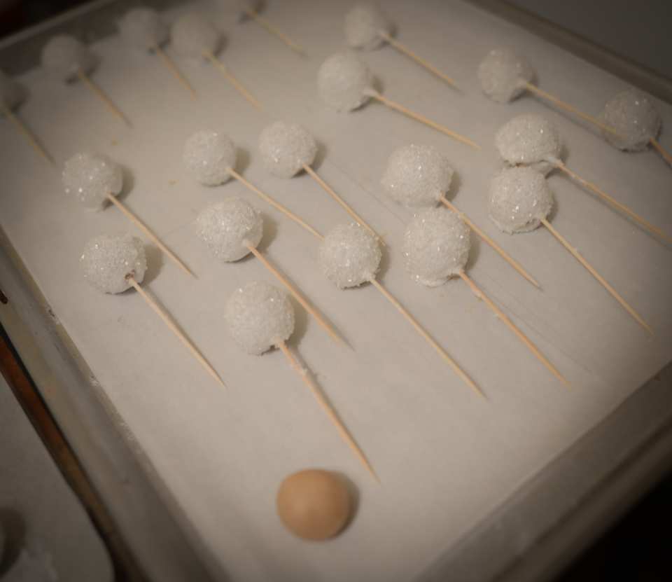 photo by ChristineMcConnell