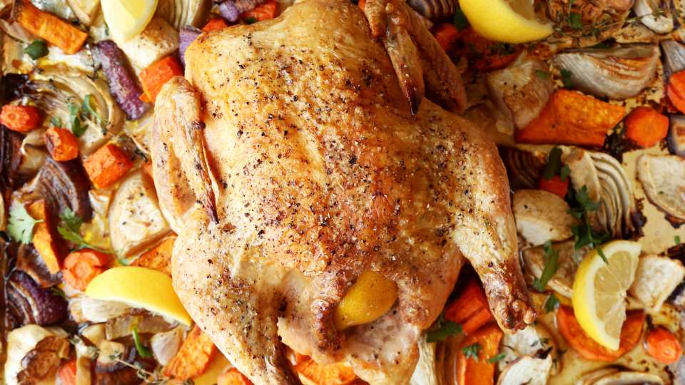 photo by Jonathan Melendez 