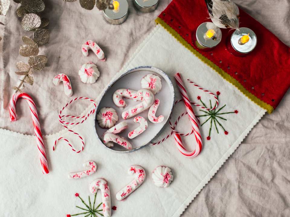 photo by Izy Hossack