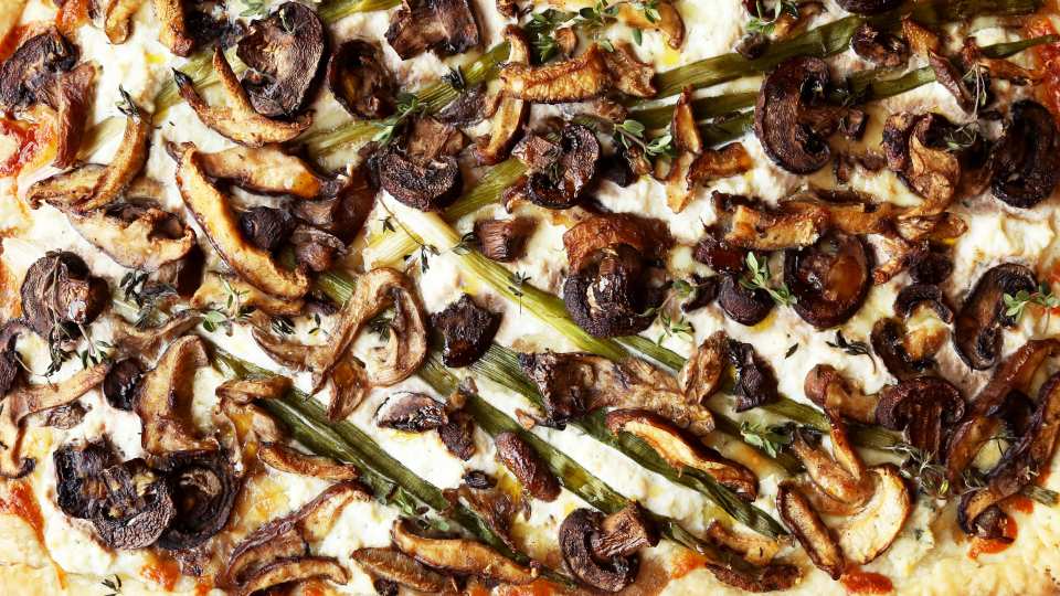 photo by Jonathan Melendez 