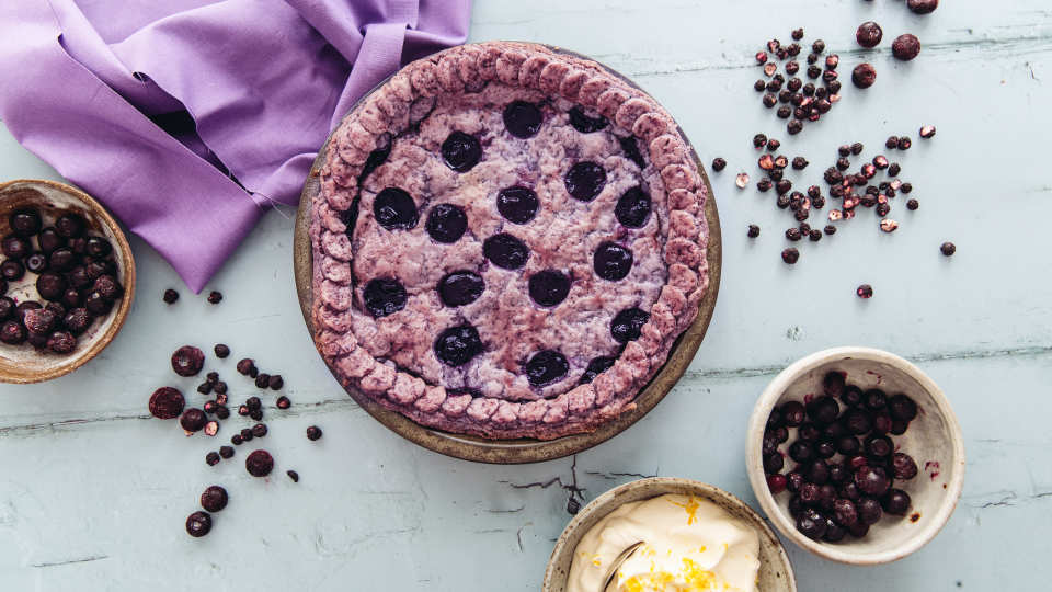 photo by Izy Hossack