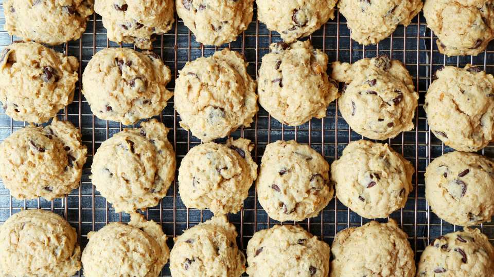 photo by Jonathan Melendez 