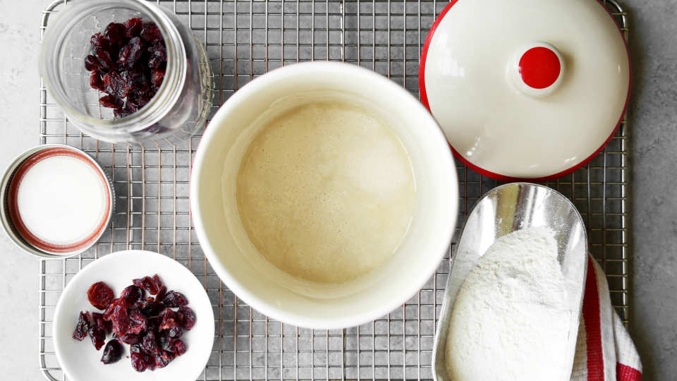 photo by Jonathan Melendez 