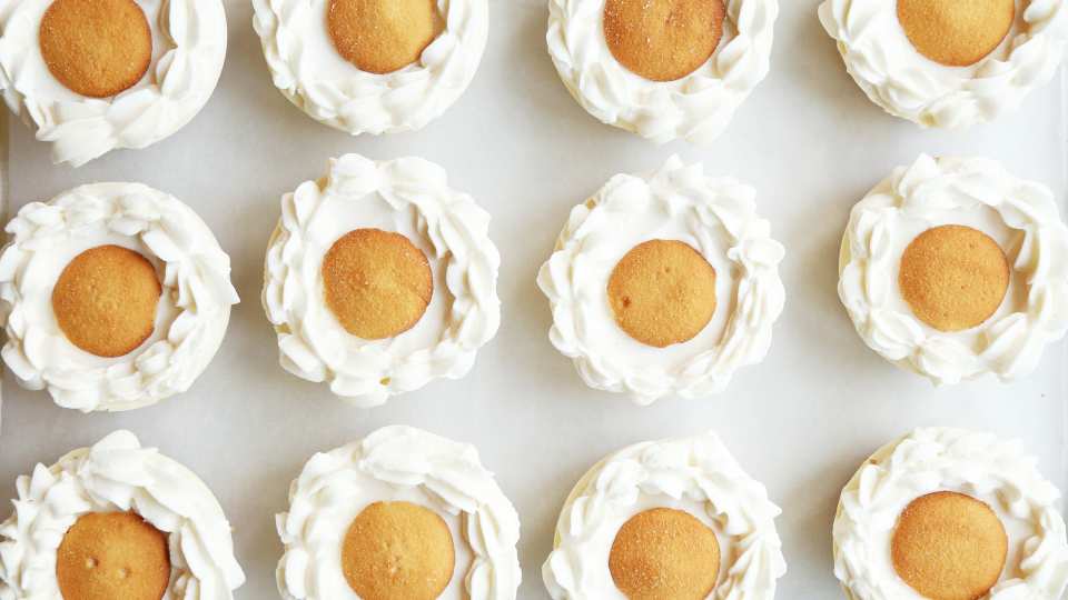 photo by Jonathan Melendez 