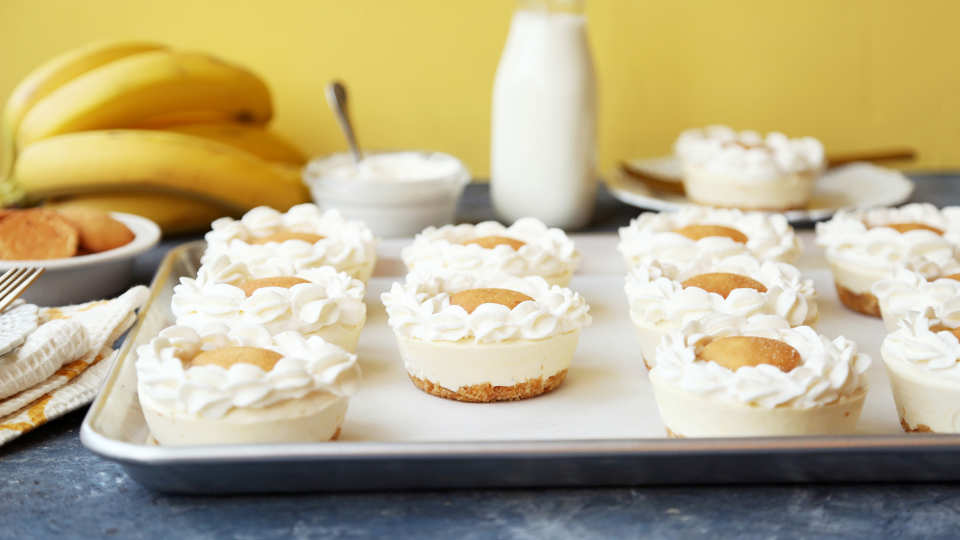 photo by Jonathan Melendez 