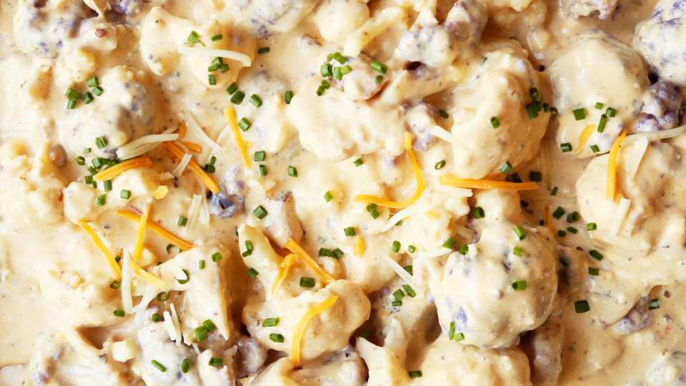 photo by Jonathan Melendez 