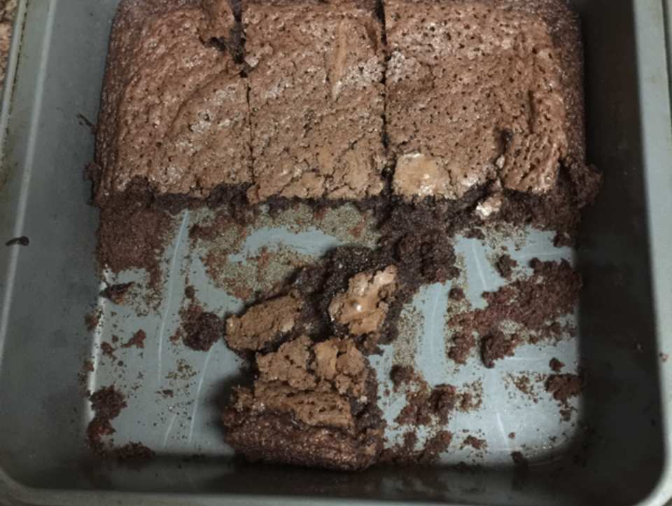 photo by shellietandarich