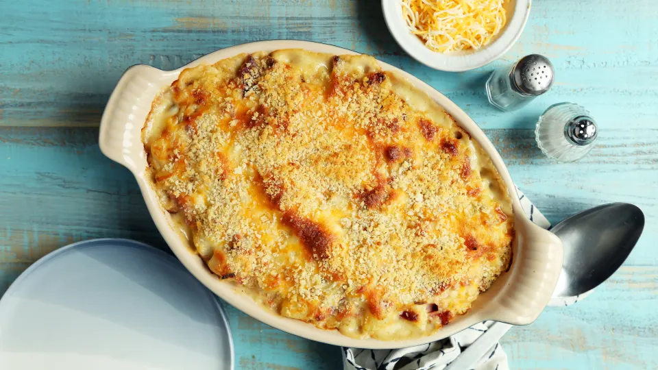 photo by Jonathan Melendez 