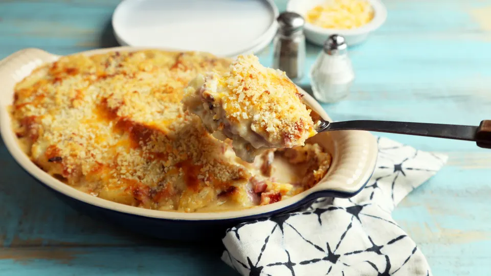 photo by Jonathan Melendez 