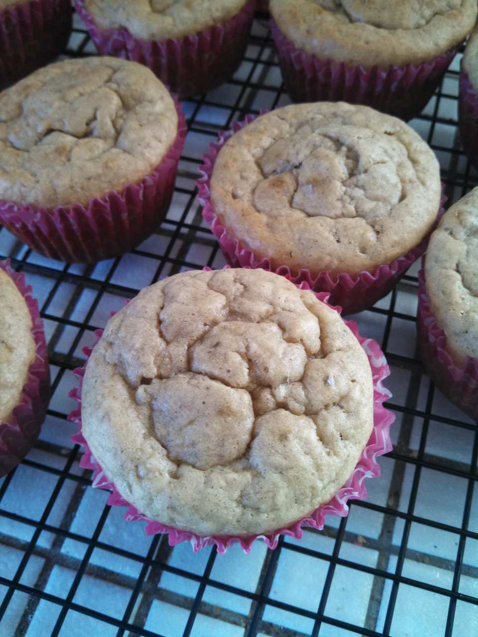 photo by kittycatmom