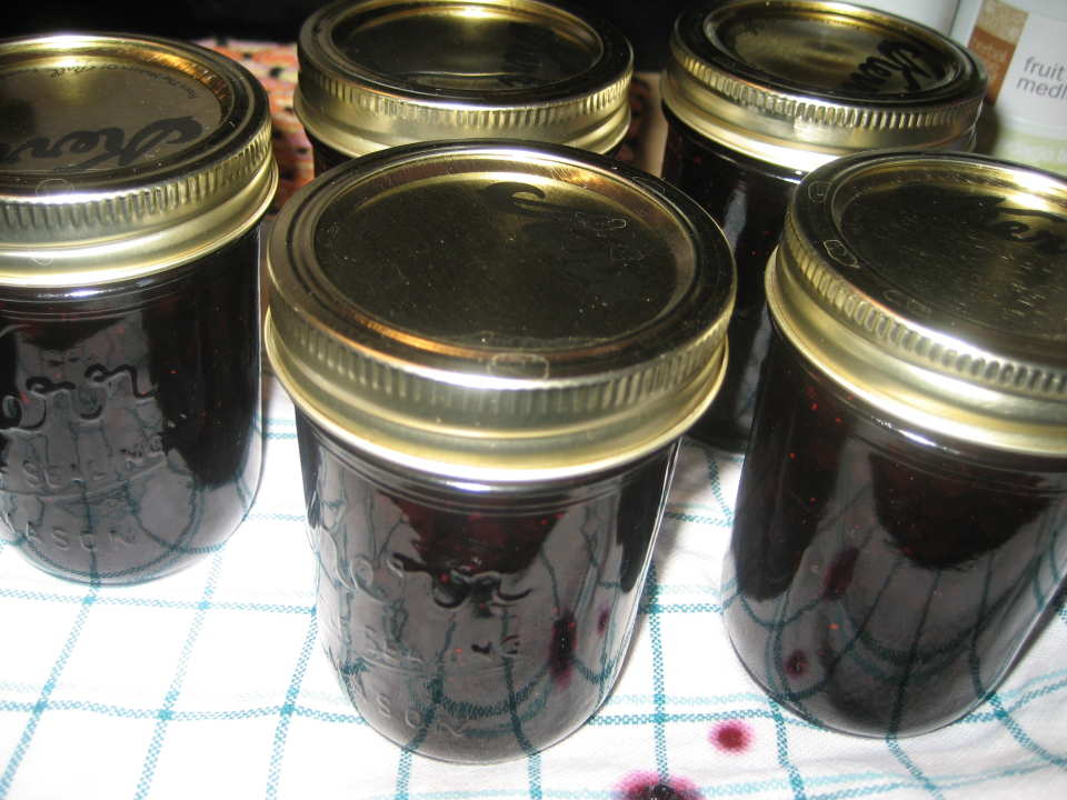 photo by Natalia - St Louis