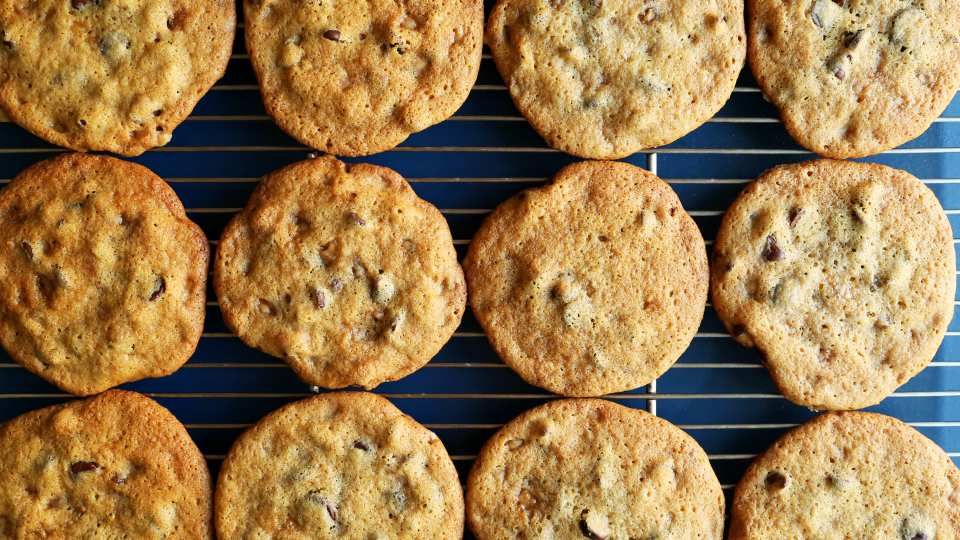 photo by Jonathan Melendez 