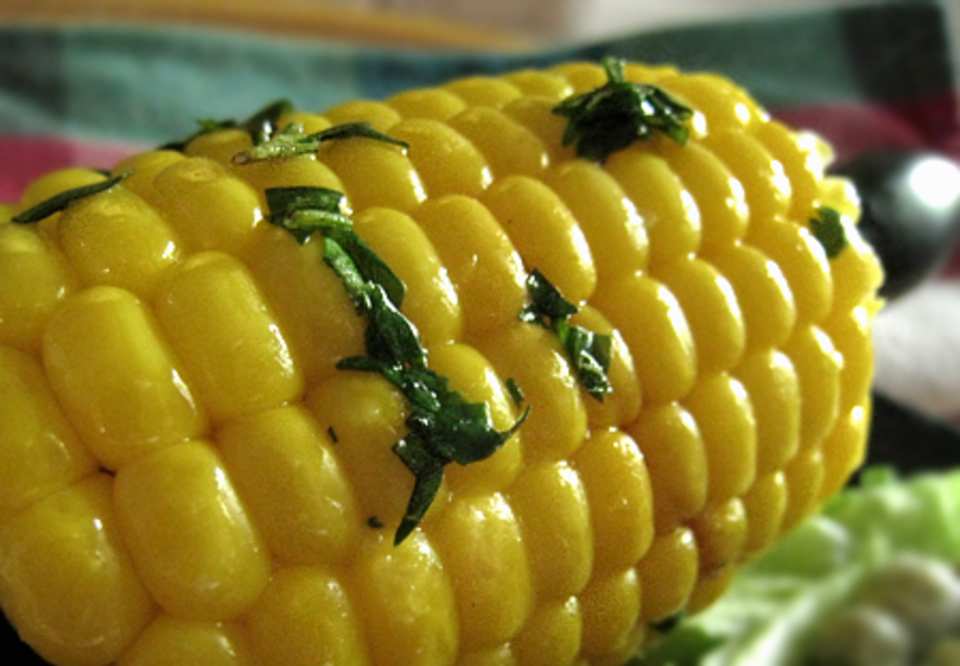 photo by Caroline Cooks