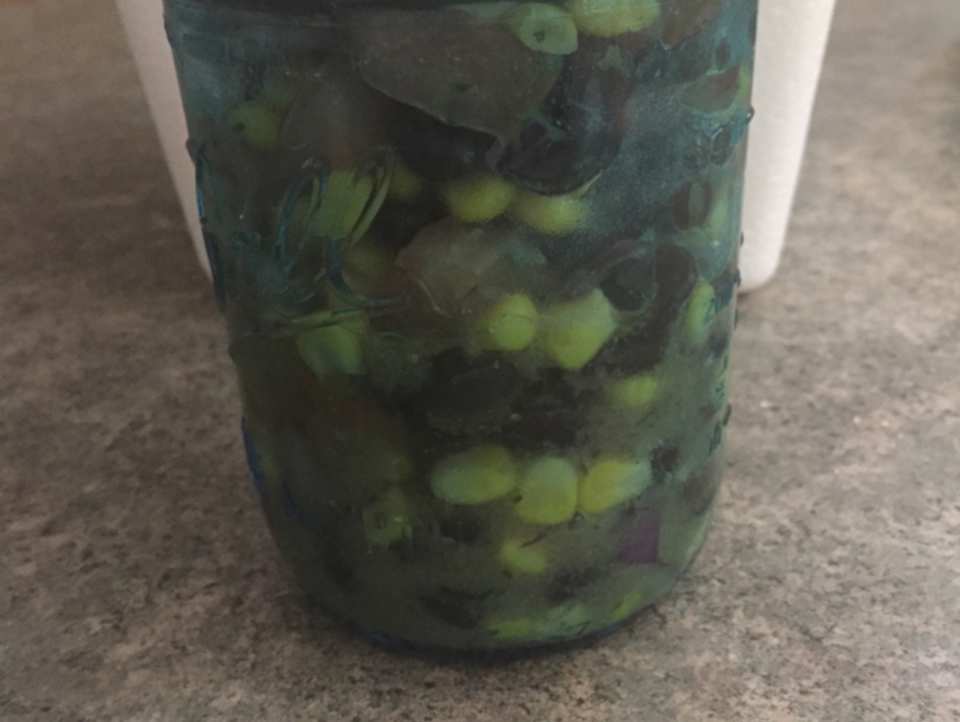 photo by Melissa Hutchins Taylor