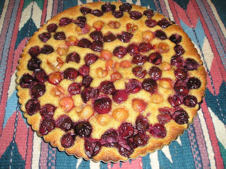 photo by Jenny Sanders