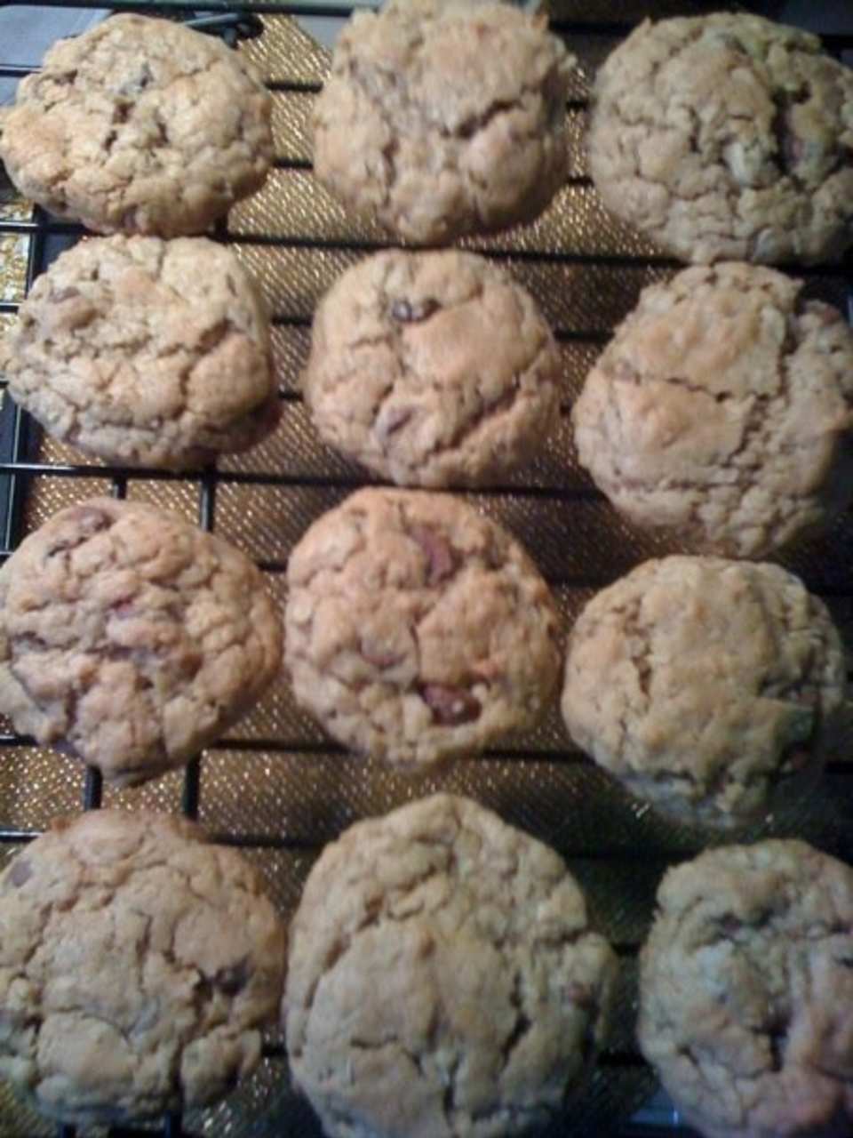 photo by Camel_Cracker