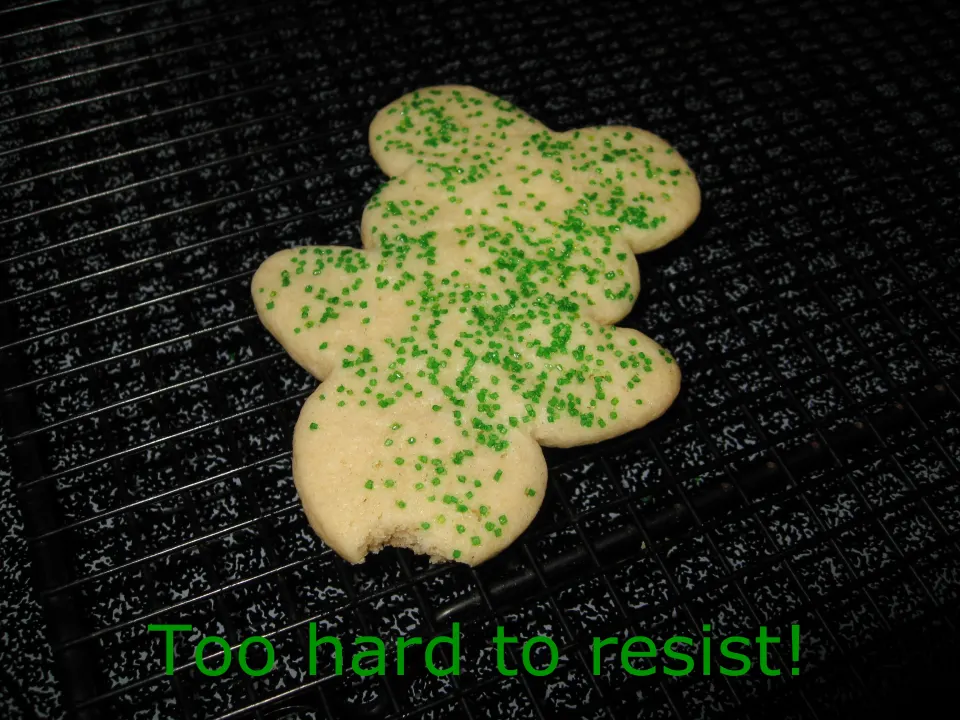 photo by michelles3boys