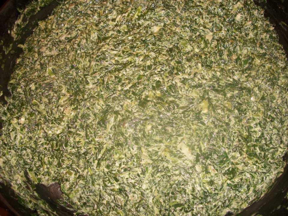 photo by ElizabethKnicely