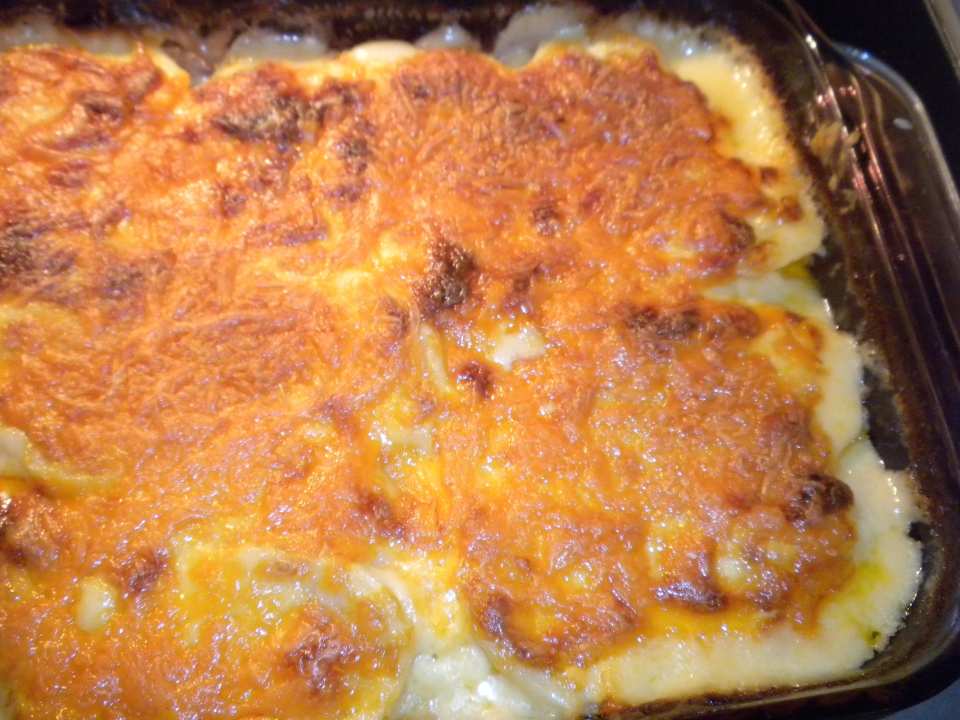 photo by Jane from Ohio