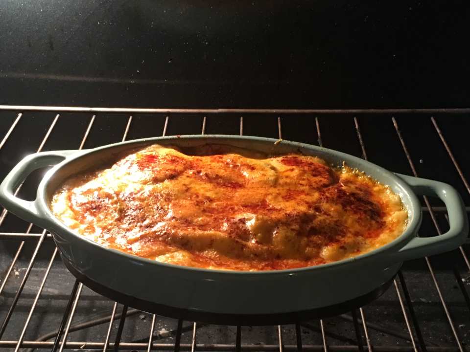 photo by David N Nicole B.