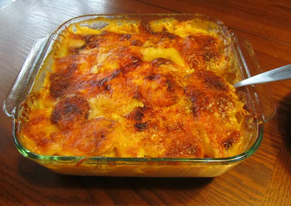 photo by Dr.JenLeddy