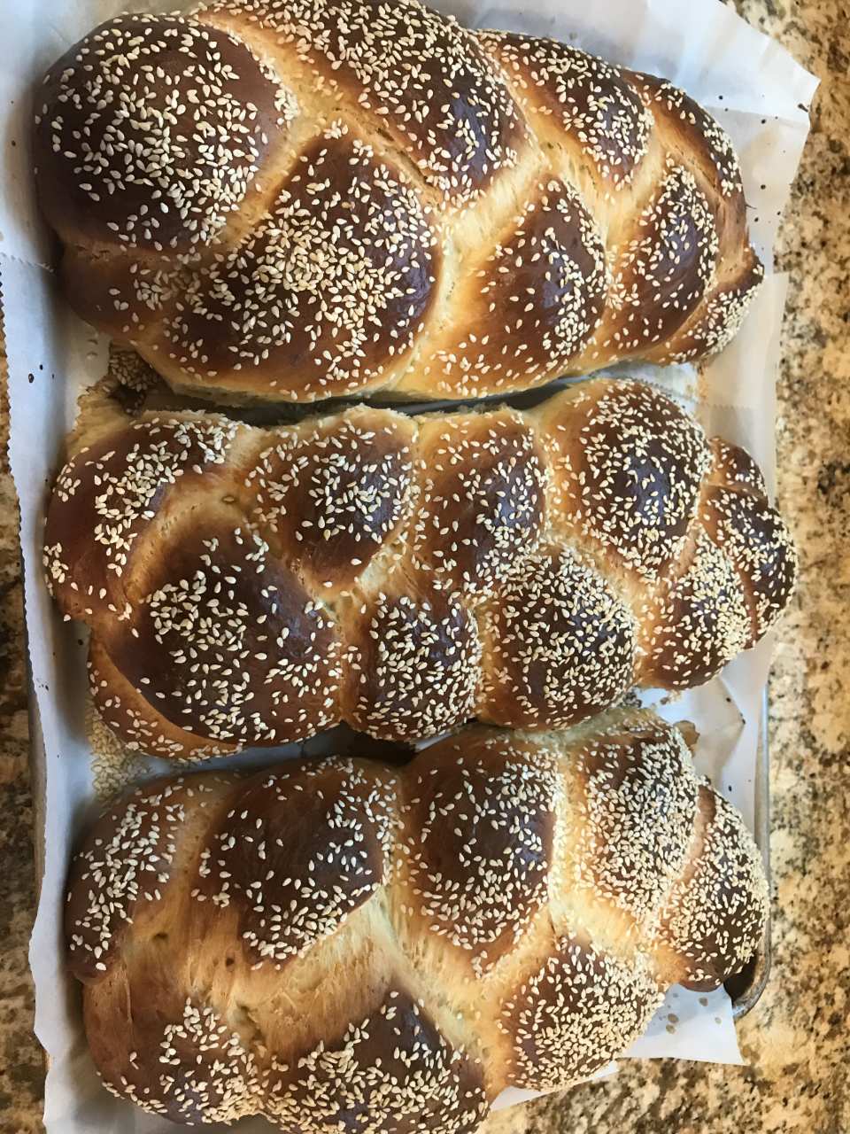 photo by Barbara Bambacus