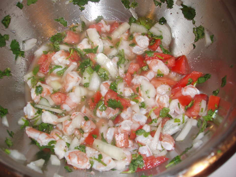 photo by Single Gal  Disaste