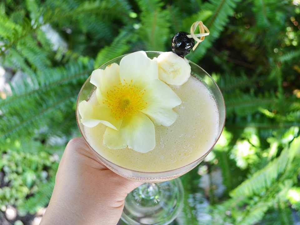 photo by Kate Richards