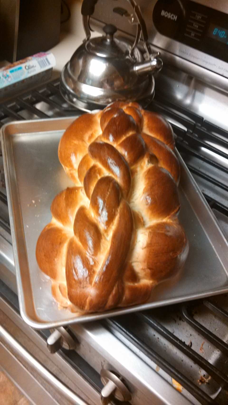 photo by David H Shapiro