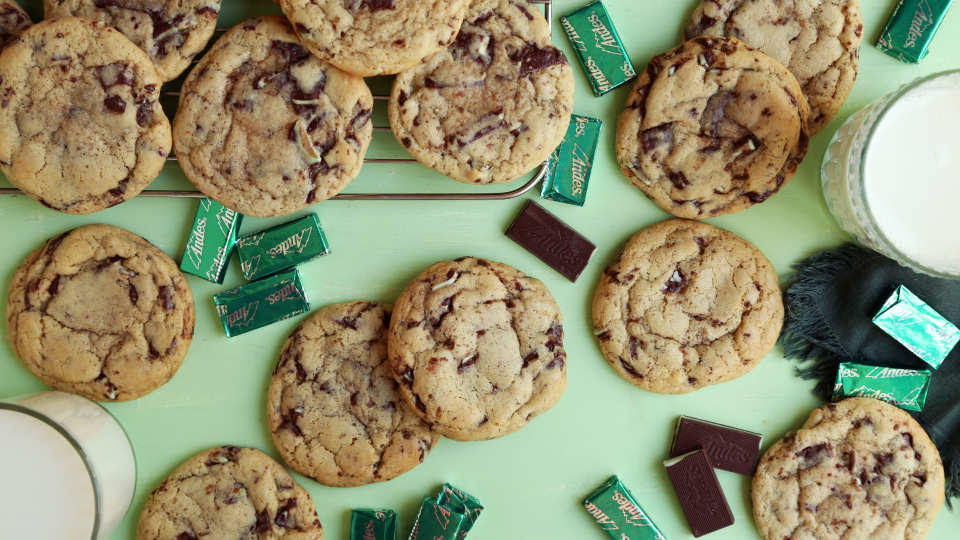 photo by Jonathan Melendez 