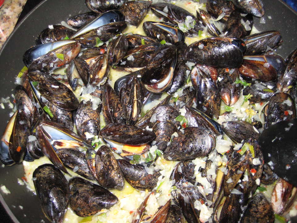 photo by RedVinoGirl