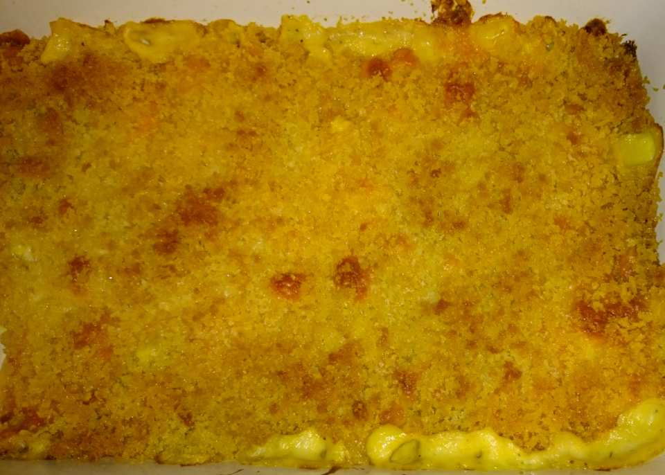 photo by adventuresofanameri