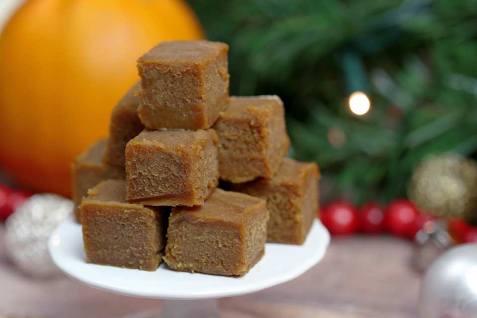 photo by Alyssia  Mind Over 