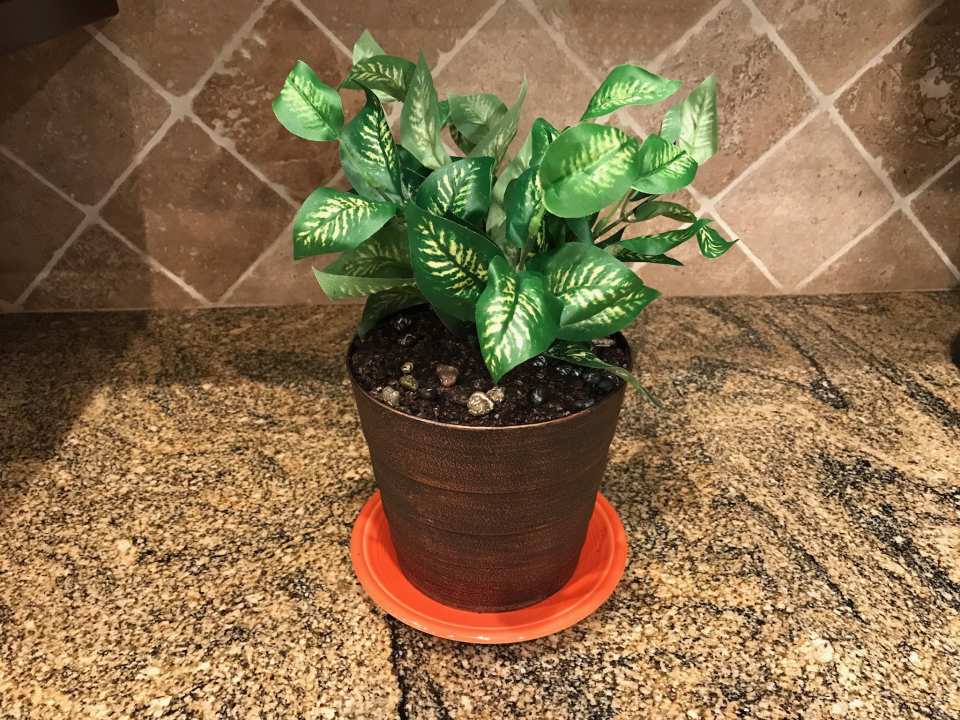 photo by Clever Cooking