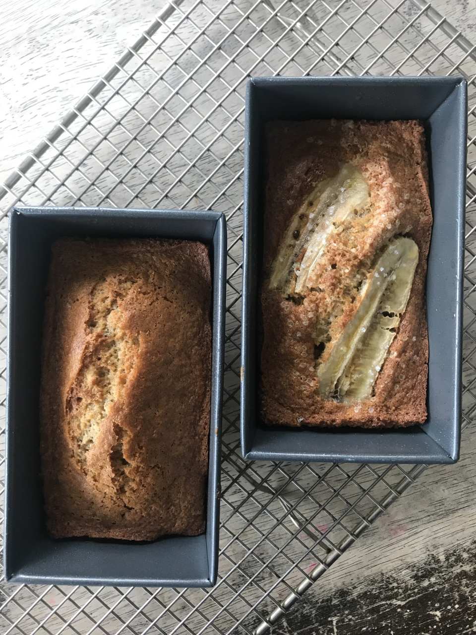 photo by DanaAngeloWhite