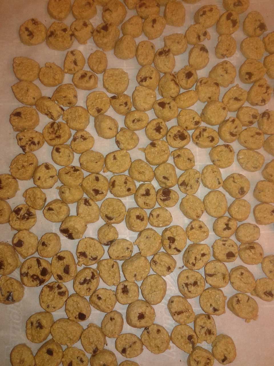 photo by Wigglesworth