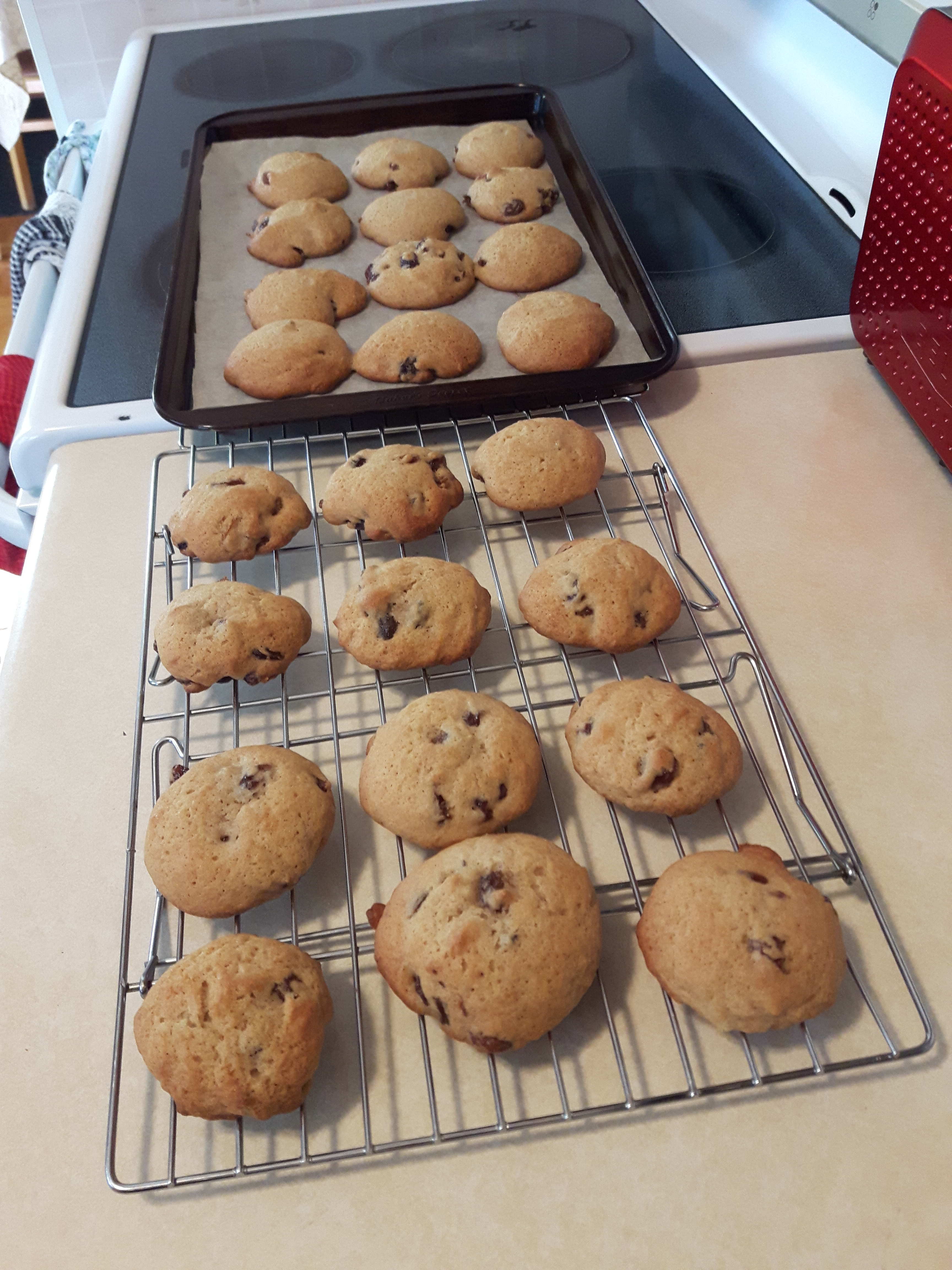 Grandma's Boiled Raisin Cookies Recipe - Food.com