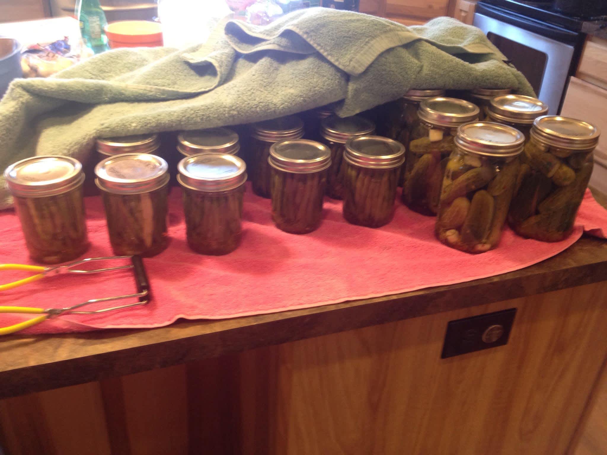 How to Make Dill Pickles | Blue Ribbon Dill Pickles Recipe - Food.com