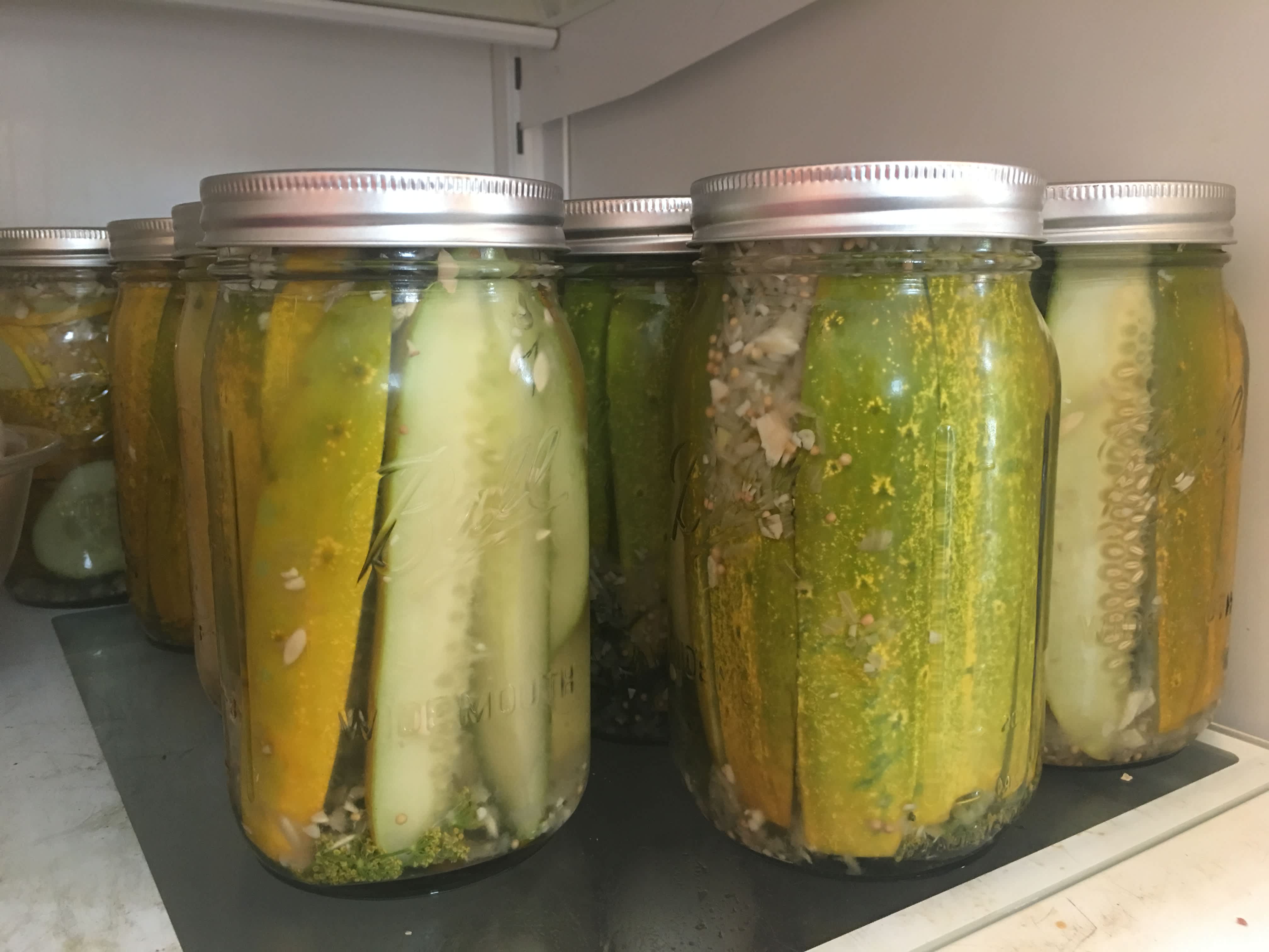 Claussen Kosher Pickle Copycat Recipe - Food.com