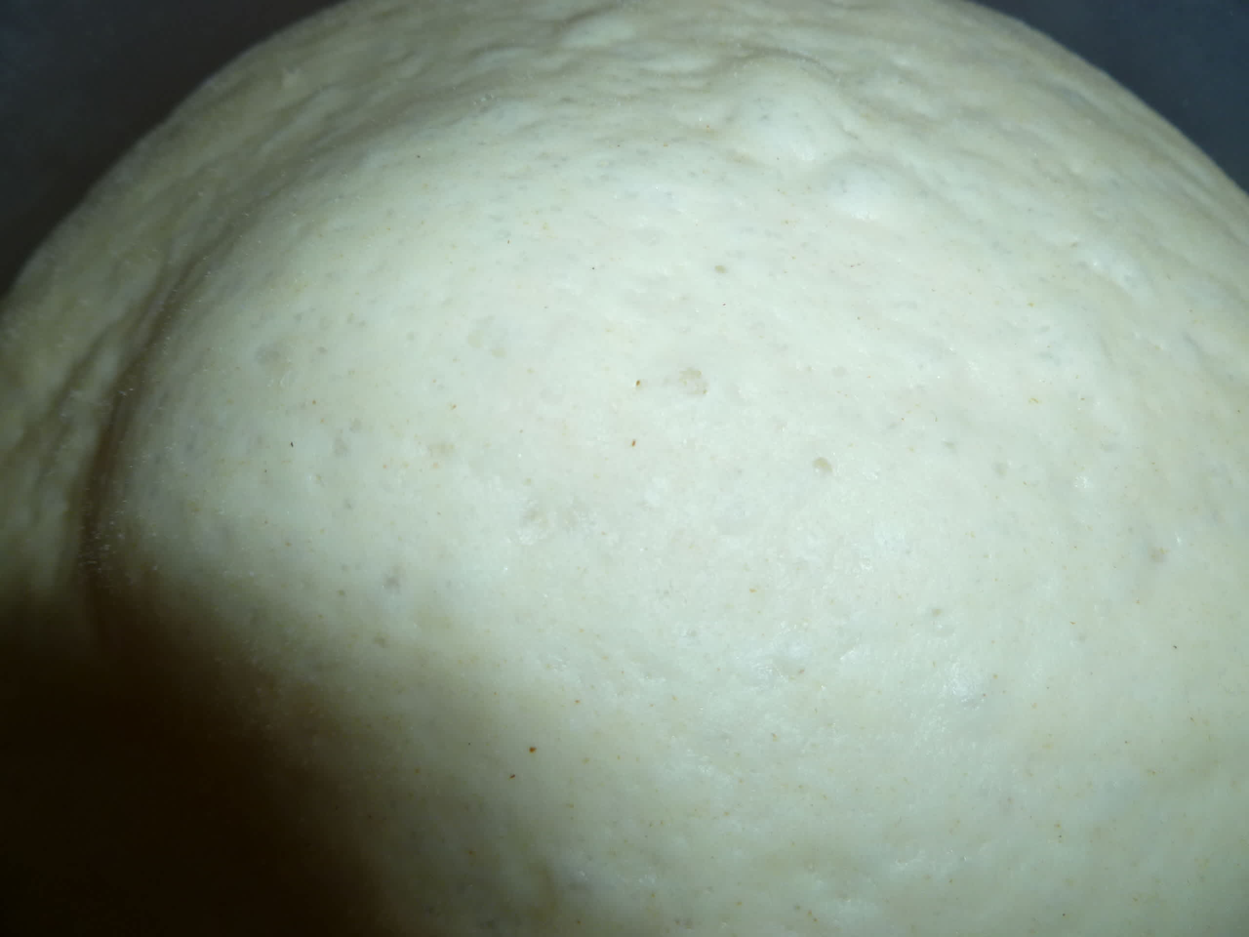 Food Processor French Bread Recipe - Food.com