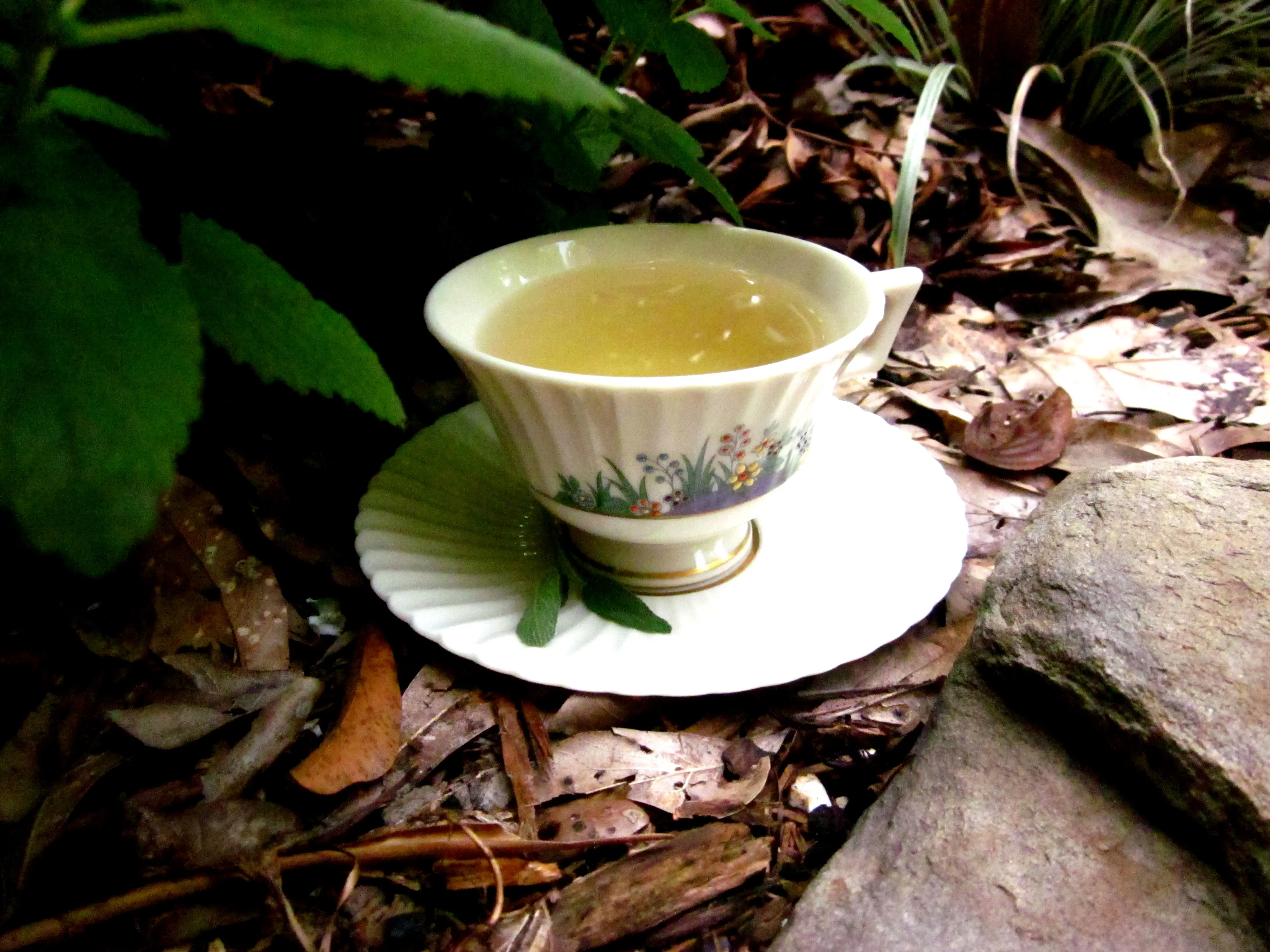 Sage Tea Recipe - Food.com