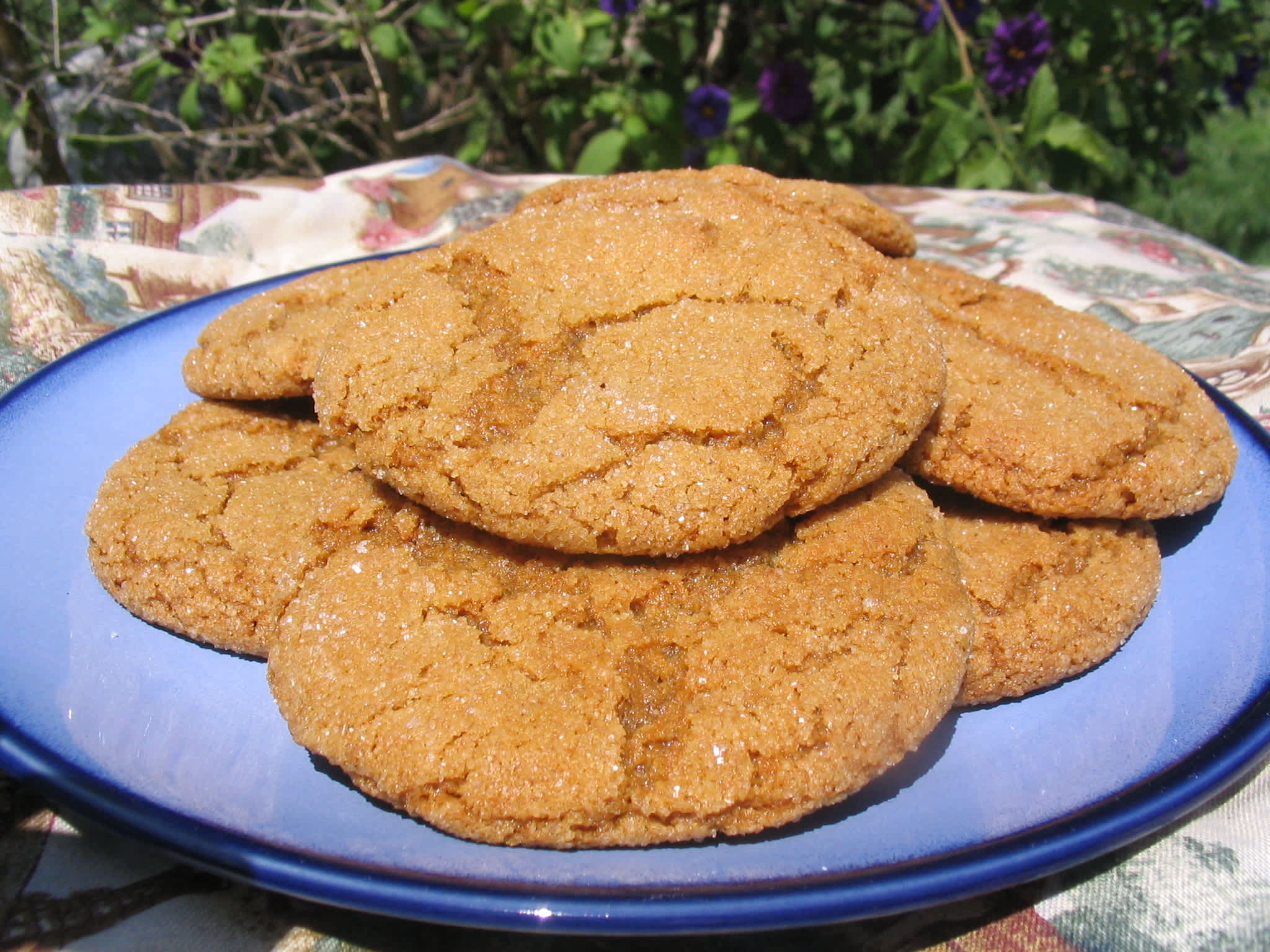 1995 1st Place: Swedish Spice Cookies Recipe - Baking.Food.com