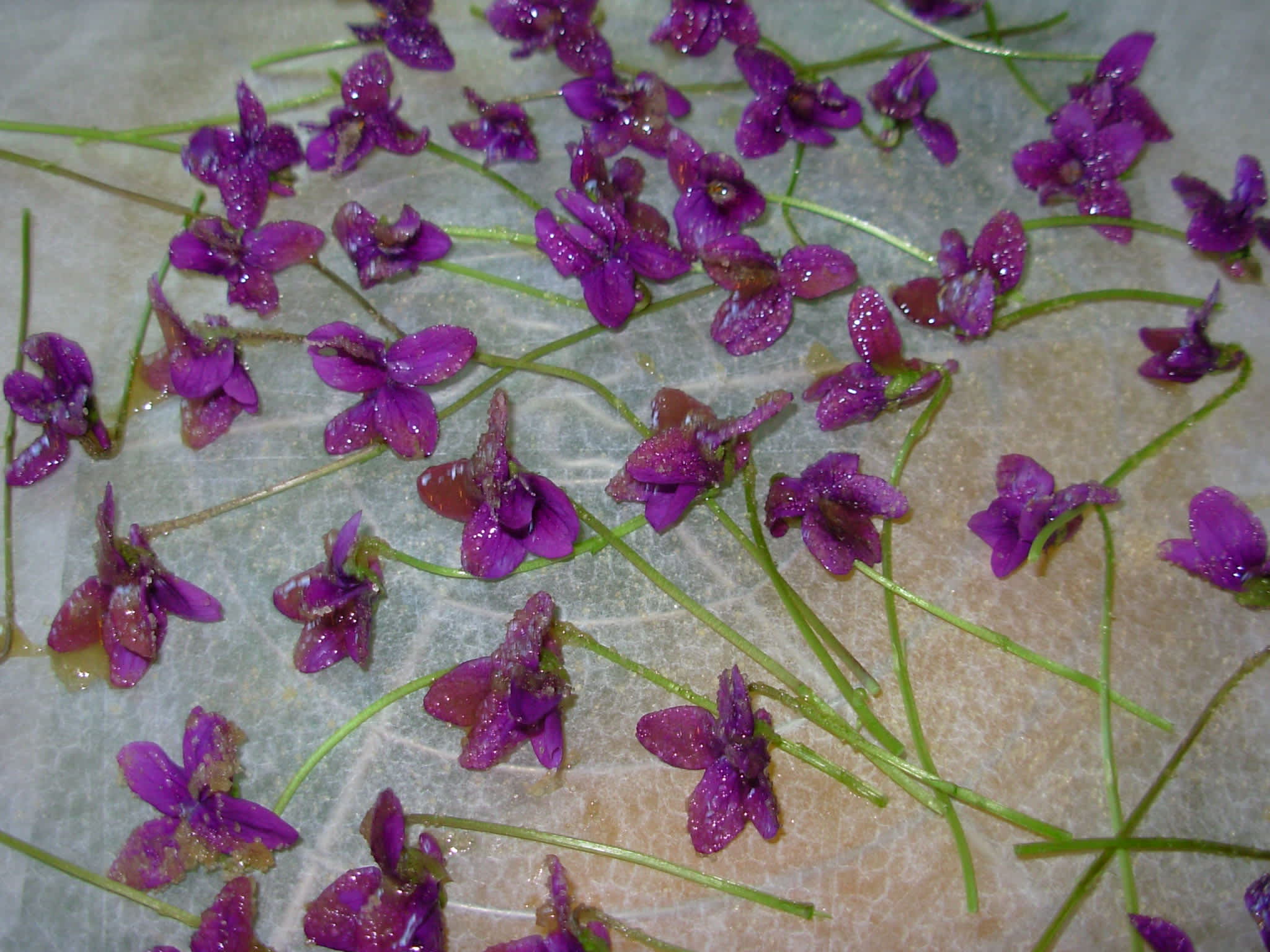 Homemade Crystallised Flowers - Violets Recipe - Food.com
