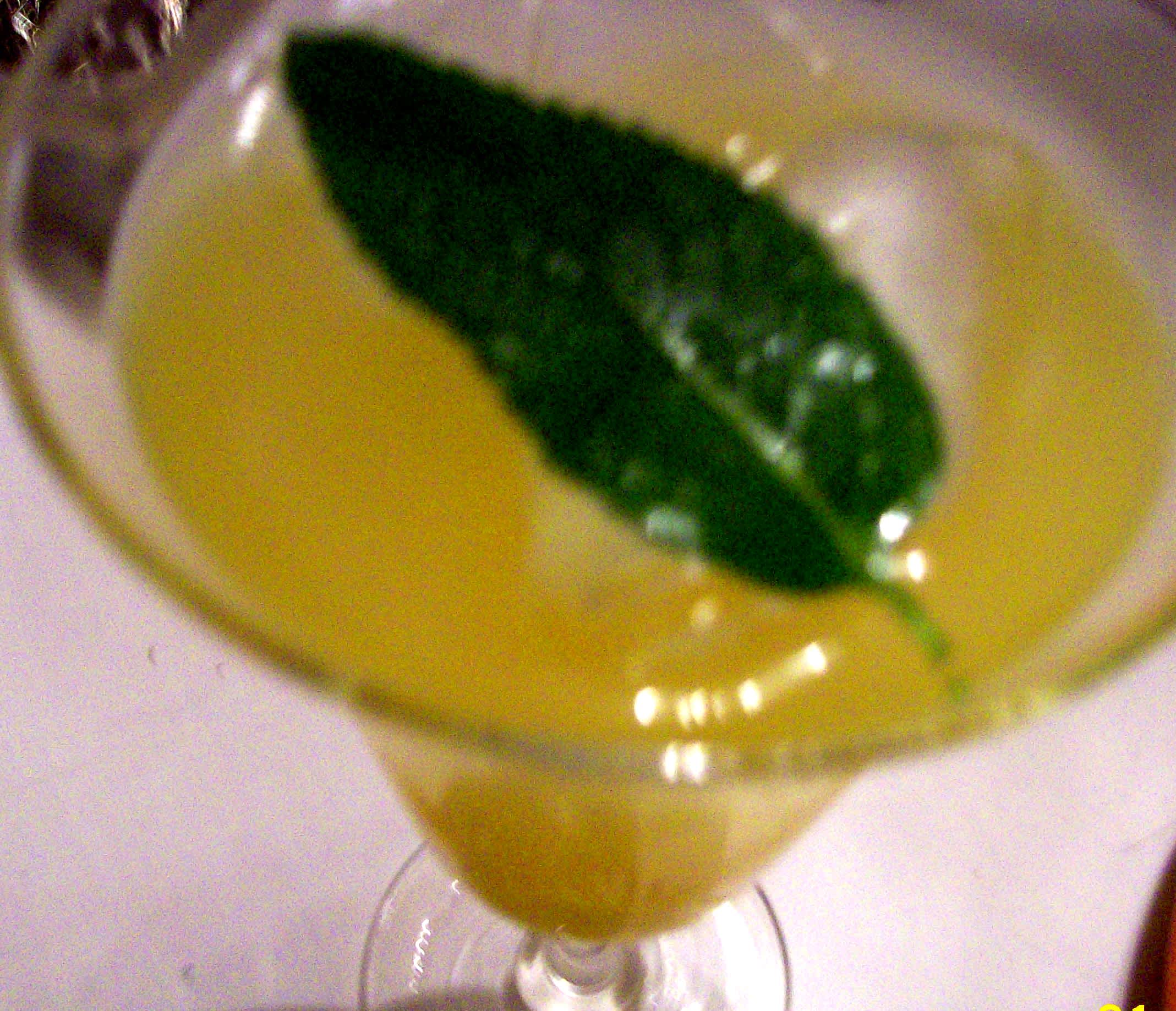 Mango Tango Iced Green Tea Recipe - Food.com