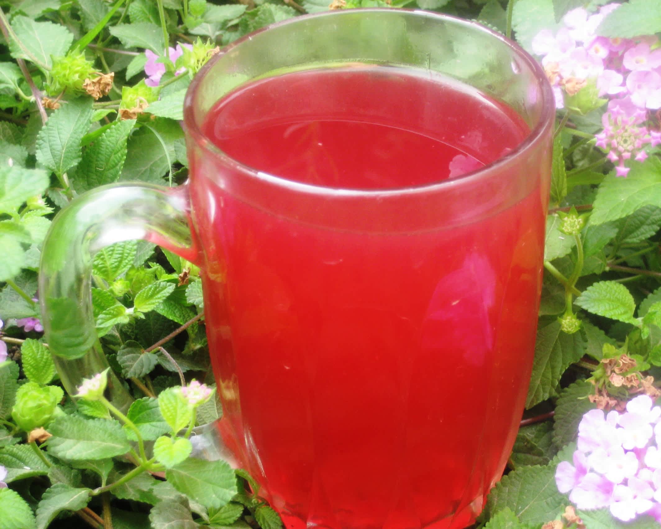 Russian Raspberry Recipe - Food.com