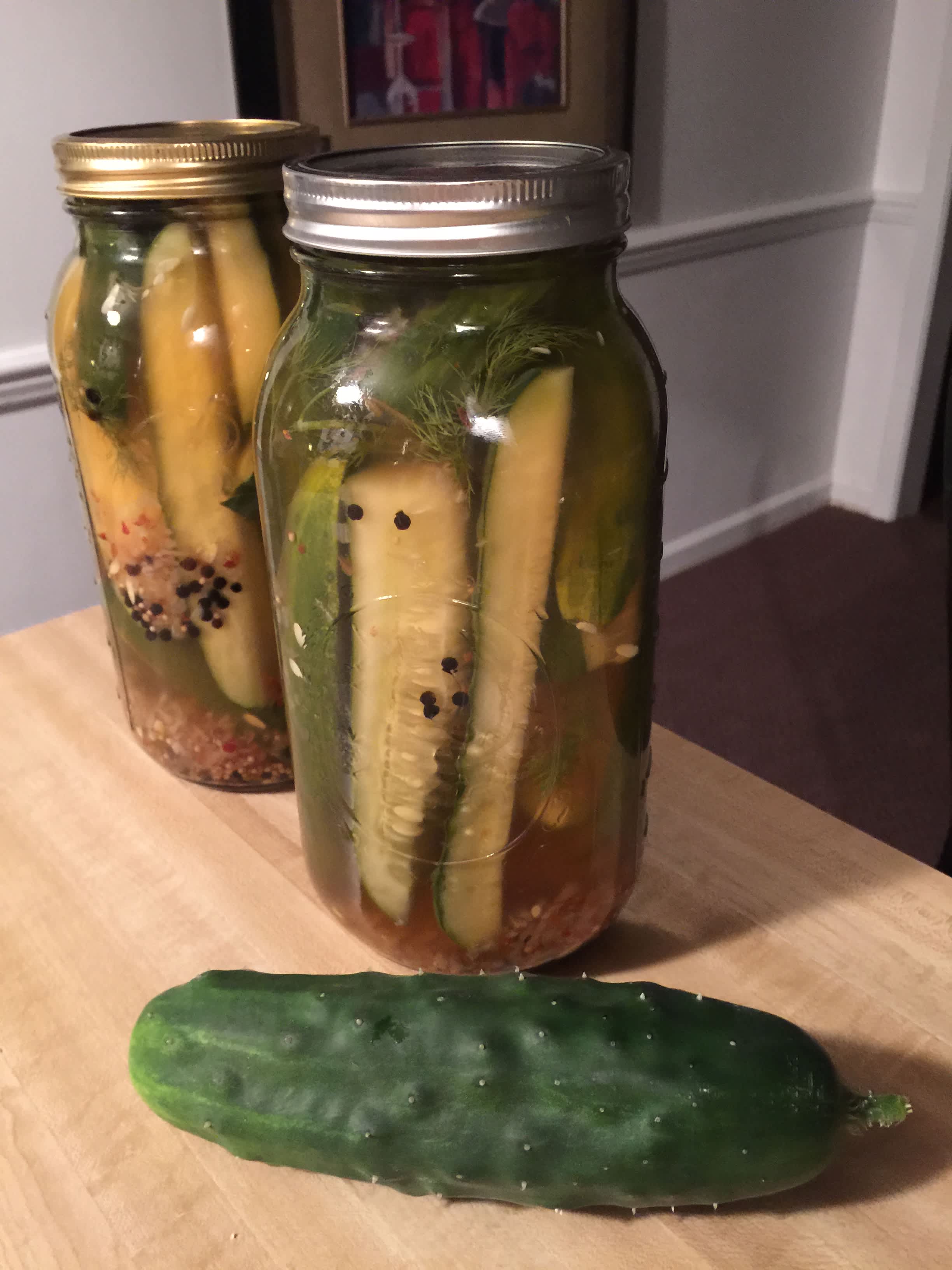 Claussen Kosher Pickle Copycat Recipe - Food.com