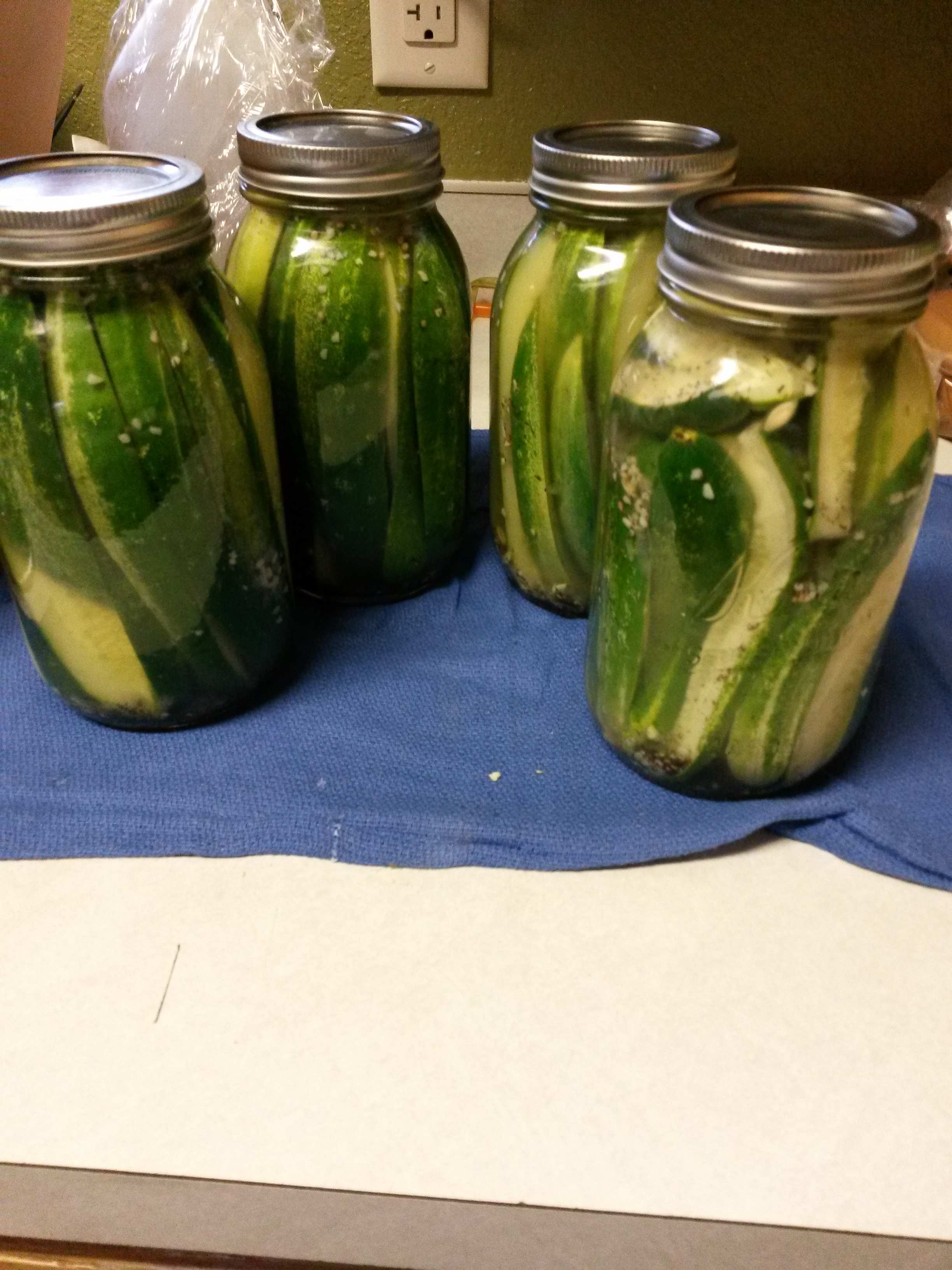 Claussen Kosher Pickle Copycat Recipe - Food.com