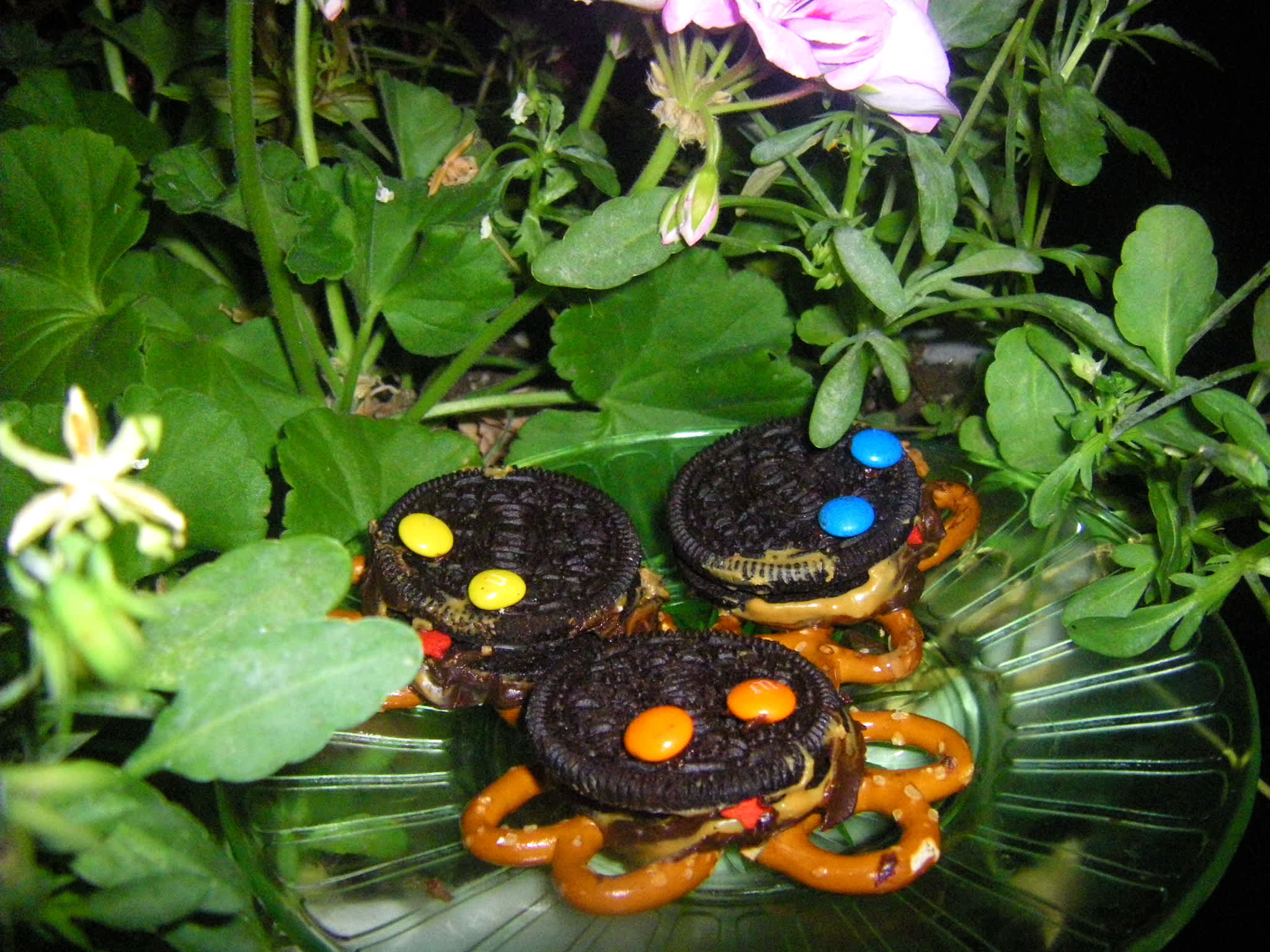 Chocolate Peanut Butter Frogs Recipe - Dessert.Food.com